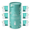 Pastilles effervescentes pour douche à l'eucalyptus - Coffret cadeau 6 pièces